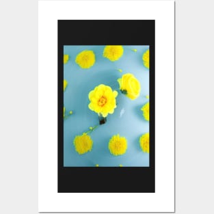 LOVELY YELLOW FLOWERS BLUE BACKGROUND Posters and Art